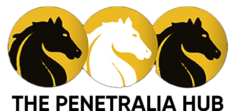 The Penetralia Hub